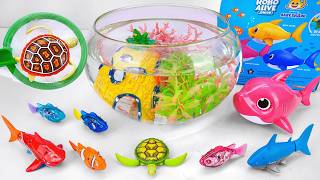 [🐟toy asmr🐢] Zuru Turtle & Baby Shark ＆ Robo Fish Tank Playset ASMR ⭐ Satisfying with Unboxing screenshot 3