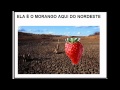 morango do nordeste