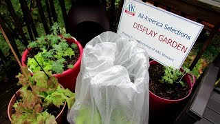 protection greenhouse frost tips quick