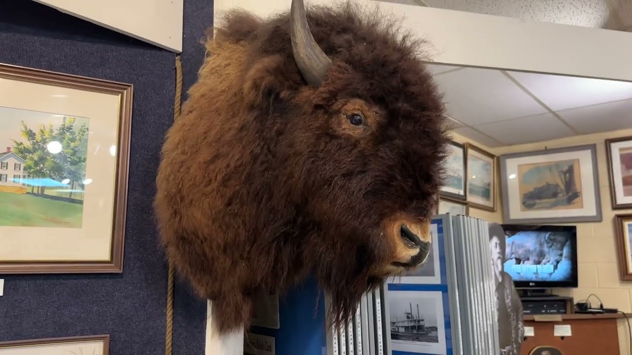 Buffalo Bill Museum LeClaire, Iowa 2024 Mississippi River road trip