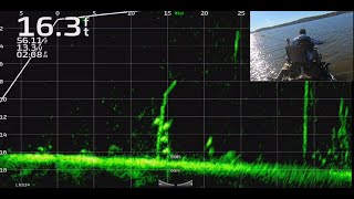 Crappie Fishing with Livescope Plus on Lake Darbonne!    FullScreen Livescope Throughout!!!