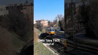 Tátra T5C5 (4200) suhan el szólóban #bkk #bkv #tatra #tram #classic