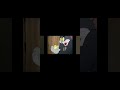 Tom and chick 🤣 #tom #tomandjerry #tomchick #viral #cartoon