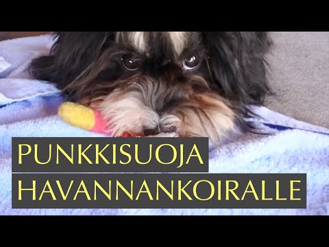 Part 1, in Finnish (in English; part 2): HUS-Apteekki tuottaa asiakkaiden sekä potilaiden parhaaksi . 