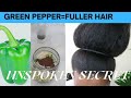 My  Hair grew like crazy after applying this green pepper oil.//how to grow hair fast at home