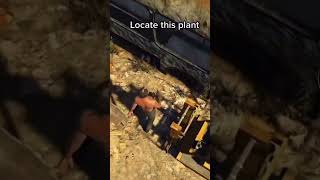 GGTA 5 random animal plant location #gta5 #shorts @gamingboy856