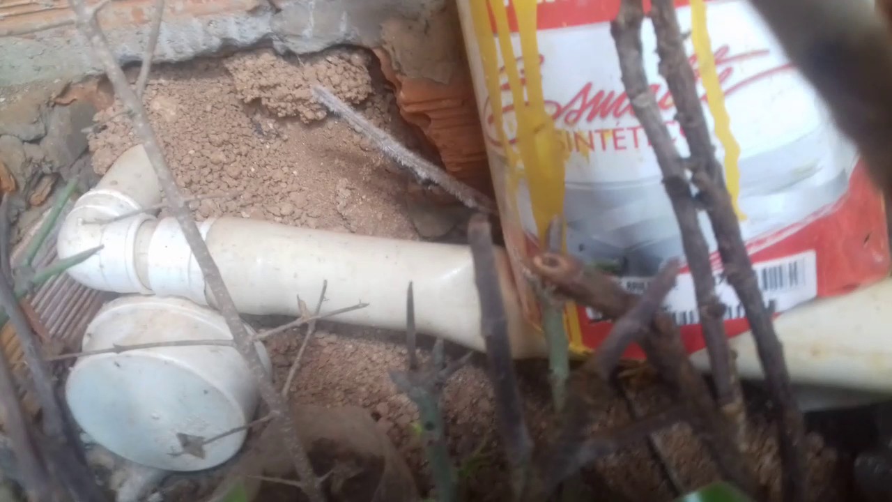 Testando. Enraizador /acido indol butirico 3000ppm.