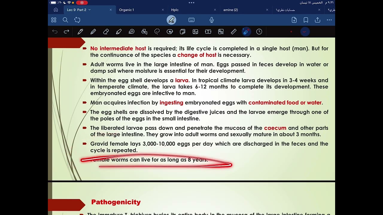 Microbiology ll   lec 9  part 2