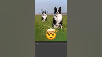 🤯 Must-Know Clone Tool Photoshop Keyboard Shortcuts!