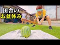 【実家のお盆休み】家族とスイカ割りをする、田舎暮らしの日常