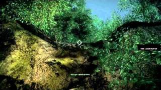Battlefield: Bad Company 2 - Graphic's Bug