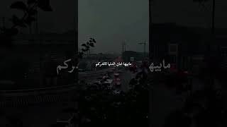 [ مابيها امان الدنيا لاتغركم .💔🎶🎬] باسم الكربلائي