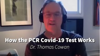 Video: COVID RT-PCR Test results 'corrupted' by increasing the Amplification-Cycle - Thomas Cowan