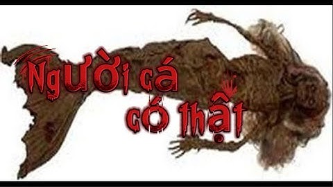 Sự thật về người cá — có thật hay chỉ là truyền thuyết?