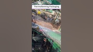 Tailored Solutions: Customizing Thermoformed Packaging and Trays