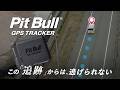 PitBull GPS TRACKER | この「追跡」からは、逃げられない | エーモン