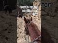 Wilderness Adventure, Riding the Arroyos