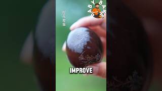 How Traditional Chinese Century Eggs Are Made Ancient Preservation Method & Hidden Health Benefits