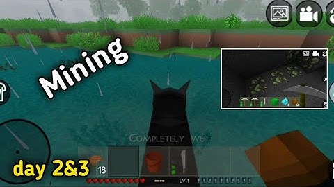 Mining in survival mode | mini block craft 3D