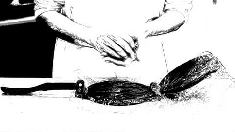 Sony Vegas Render Image Sequence Test 2