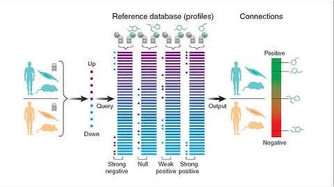 Mount Sinai Biophysics Course Lecture - Part 5