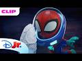 Team Spidey Helps Dolphins! 🐬❤️ | Marvel's Spidey and his Amazing Friends | @disneyjrx@MarvelHQ