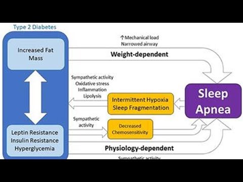How Genetics and Physiology Play a Role in Sleep Apnea | Tita TV