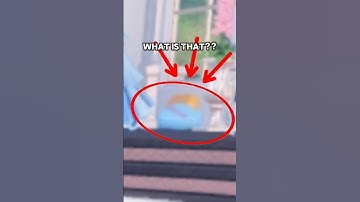 DRESS TO IMPRESS WHAT IS THIS STRANGE ITEM?? #roblox #dresstoimpress #dti