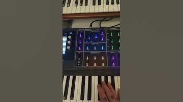 some techno with minimoog!! #techno #minimoog #moog #darktechno