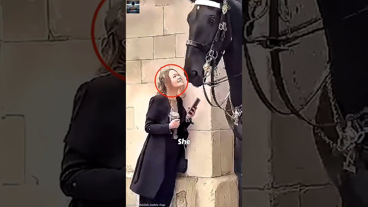 She Asked The Royal Guard For His Number And He Said YES 