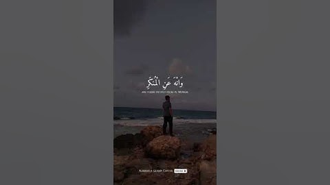 #اكتب_شي_تؤجر_عليه #تلاوة_خاشعة #لايك #تلاوات #دويتو #تلاوه #اكسبلور #تلاوتقران #القارئ_اسلام_صبحي