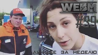 Dank WebM Compilation #39