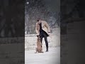 Usaрџ єрџ І K9trainer Dogрџђ рџђ Dogfinstagram Trending Trainingdogs K9 Tactical Viralshorts Fyp Usaрџ єрџ І K9trainer Dogрџђ рџђ Dogfinstagram Trending Trainingdogs K9 Tactical Viralshorts Fyp