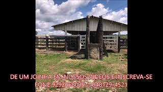 FAZENDA COM 2400 ALQUEIRÃO CMC