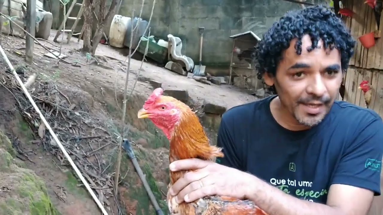 Essa Cocheira me impressionou , muitas Aves Bonitas.