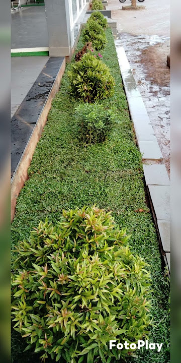 VK Garden Work Kovai Palakkad Walayar Vijayakumar Contact 8111811518