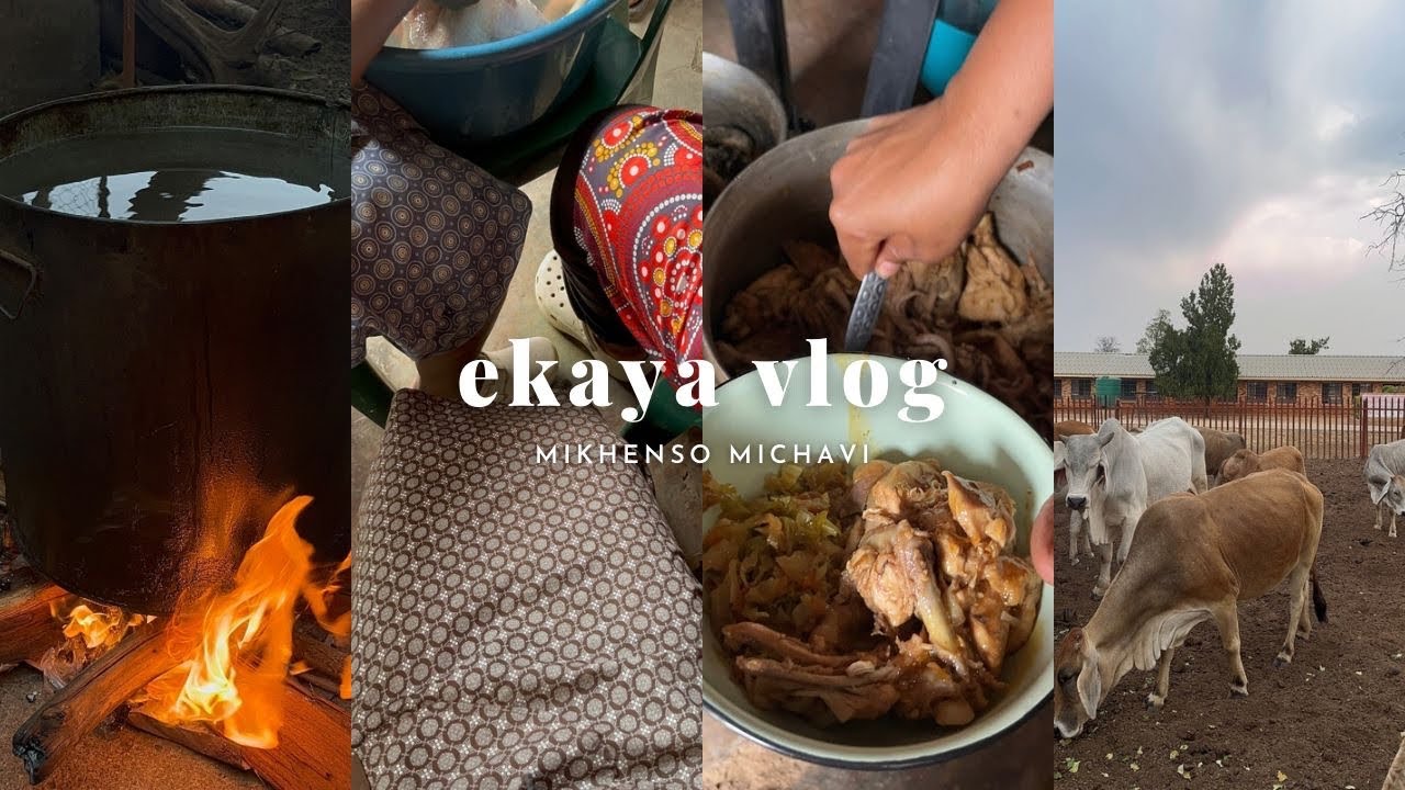 Ekaya | spend a few days with me at home🤍