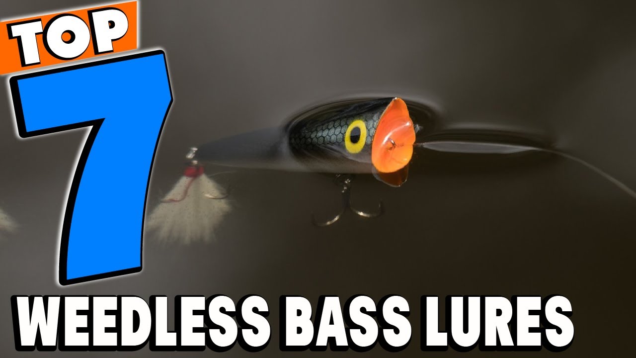 Top 5 Best Weedless Bass Lures Review in 2024 