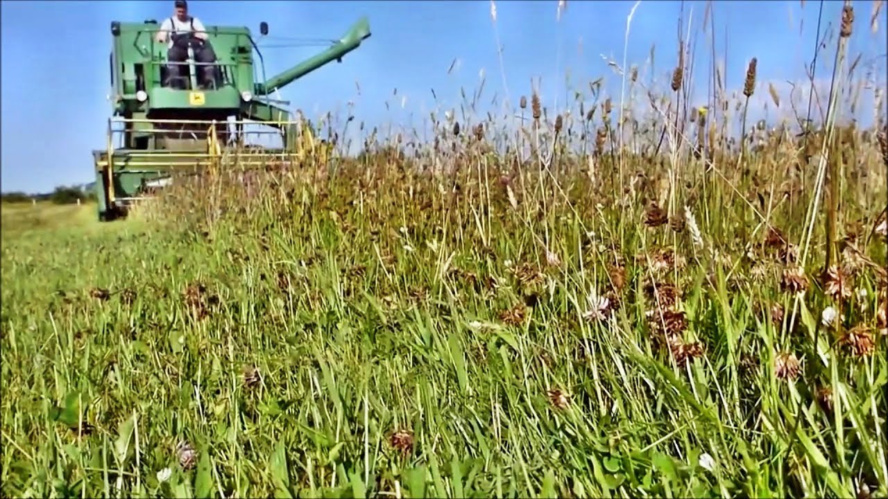 Wiesendrusch Schäferhaus Nord 2017 - Mähdrescher John Deere 930