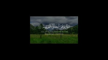اوليس الذي خلق السموات والأرض بقادر علا ان يخلق مثلهم|للقارئ ماهر المعيقلي، حالات واتس