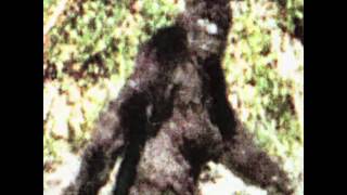 1 of 82 Patterson Gimlin Bigfoot best clips film(2009)