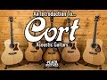 An introduction to...Cort Acoustic Guitars