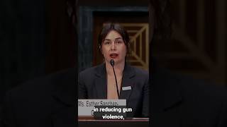 Is More Gun Control The Answer?