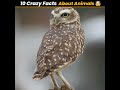     10     10 crazy facts about animals  shorts