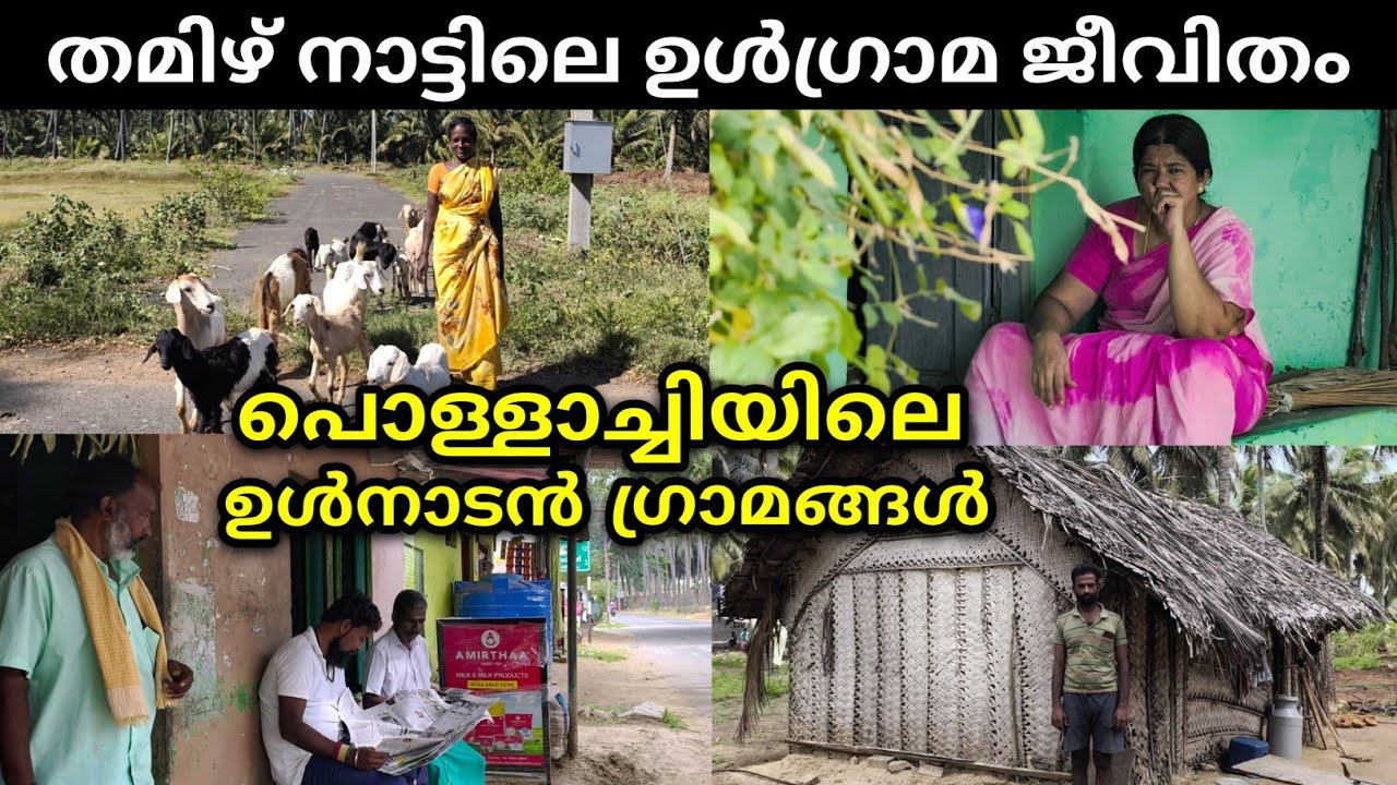 Это сельские виды Поллачи | Жизнь в деревне Тамил Наду | Деревни Поллачи