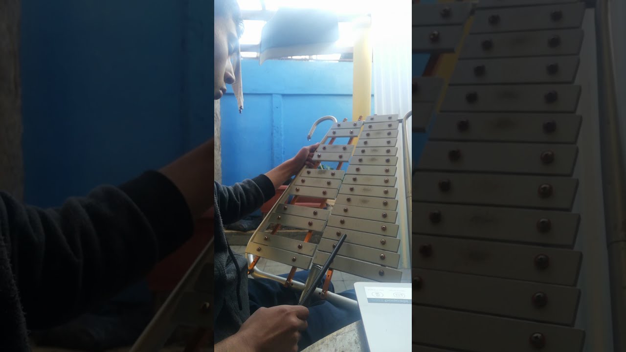 Quinto de linea, lira. Voz 2