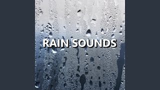 Fantastic Daybreak Rain Sounds