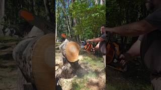 381 Clone Saw From Neotec Is Better Than Farmmac  2strokepower chainsaw