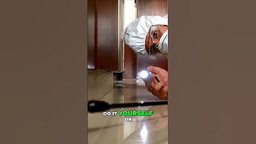 Get Rid of Fleas in Your Bed - Easy & Effective Tips!