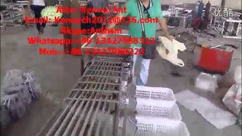 QY-01 Dates sorting grading machine, sorter grader